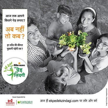 social cause projects (CSR): ek ped ek jindagi image 1