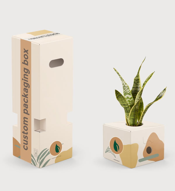 Plants as Corporate gifts sample packaging box