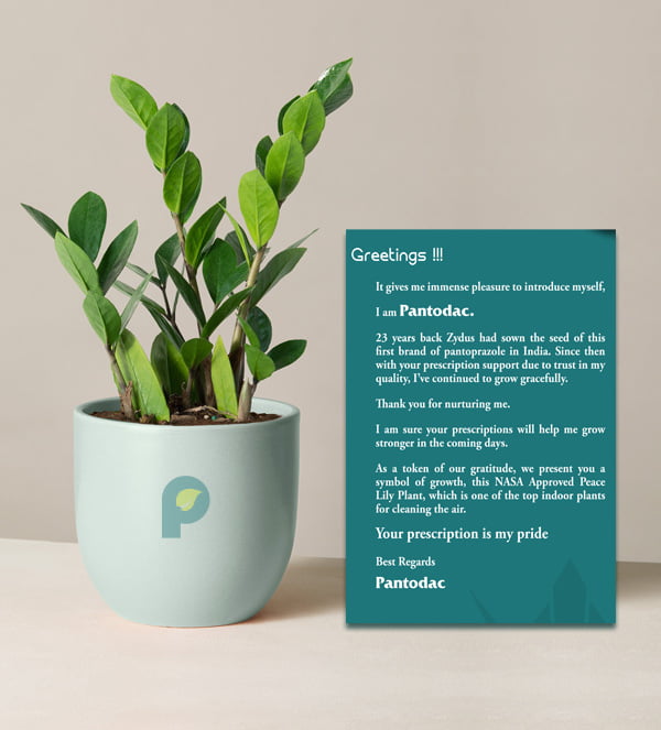 Plants as Corporate gifts sample personalized card